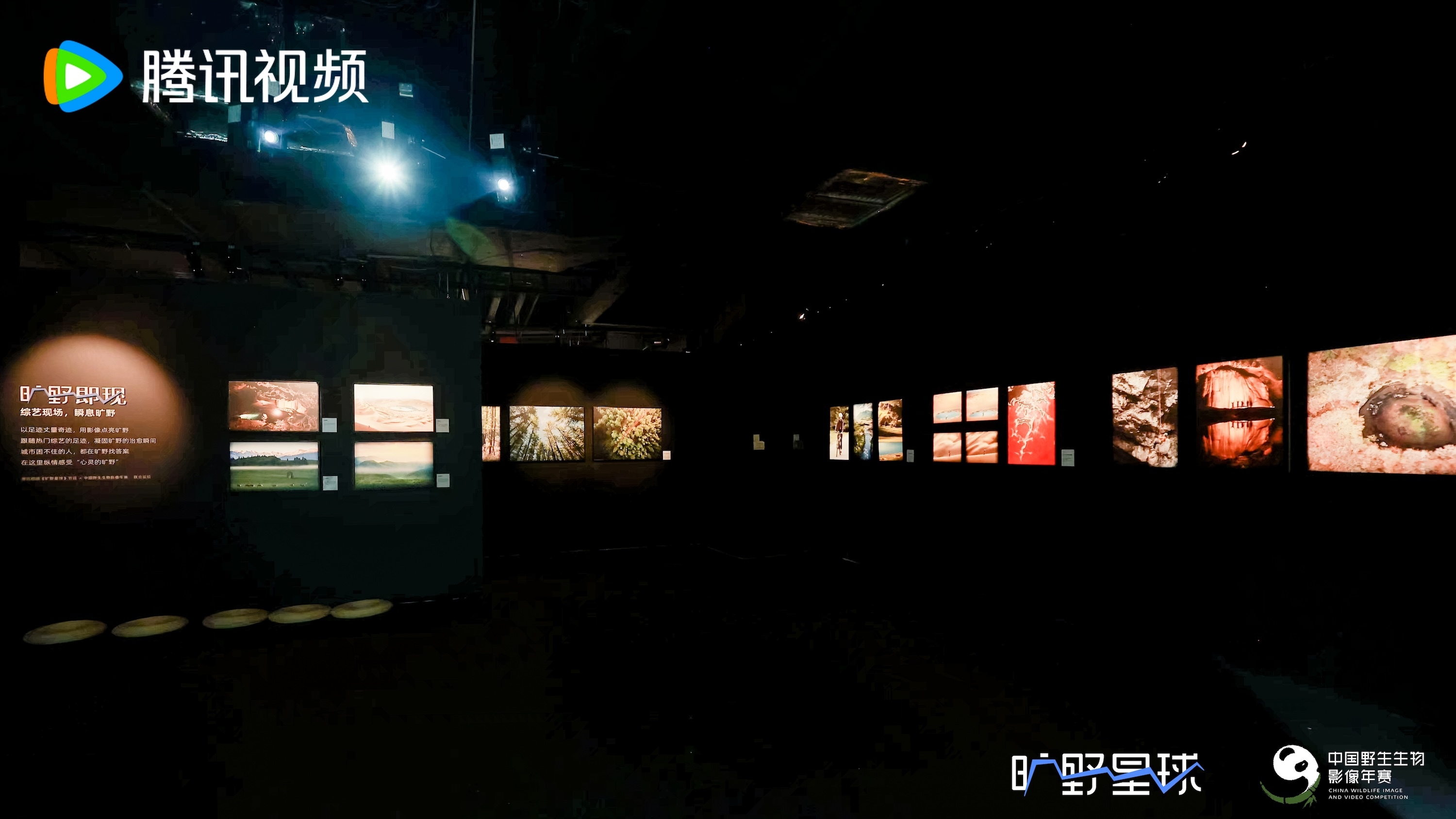 南方报业传