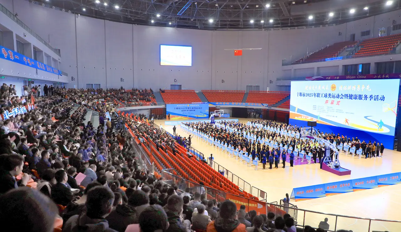 观众的阵阵, AA, 默契配合